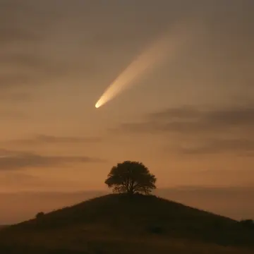 A bright comet with a long tail illuminates an orange sky above a solitary hill tree.