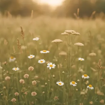 Flora jigsaw puzzles