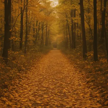 A forest path covered in golden autumn leaves, flanked by trees, fading into the distance.