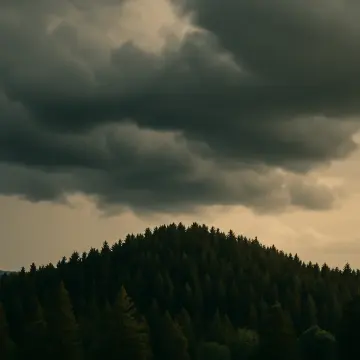 Dense pine forest covers a hill beneath heavy, dark storm clouds in the sky.