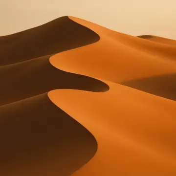 Close-up of undulating golden sand dunes with contrasting light and shadow under a clear sky.