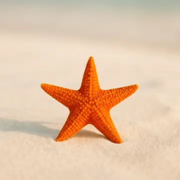 A vibrant orange starfish stands upright on light-colored sand with a blurry background.