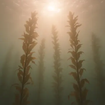 Tall, leafy kelp stalks rise from the ocean floor towards bright sunlit surface.