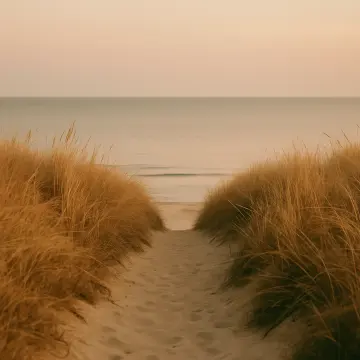 Puzzle: Un chemin de sable serpente à travers de hautes herbes de dunes dorées menant à un océan calme aux couleurs pastel.