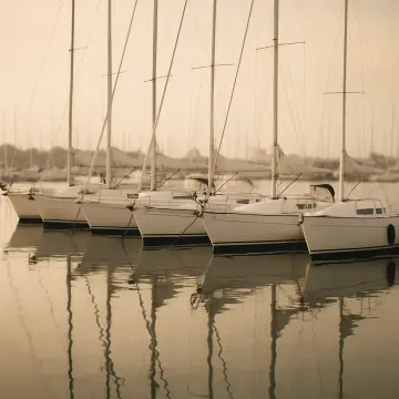 Several white sailboats are docked in a marina, their masts reflecting in calm water.